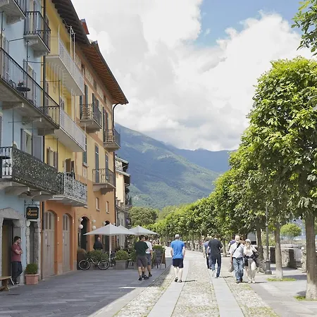 Ortensia Blu Stresa